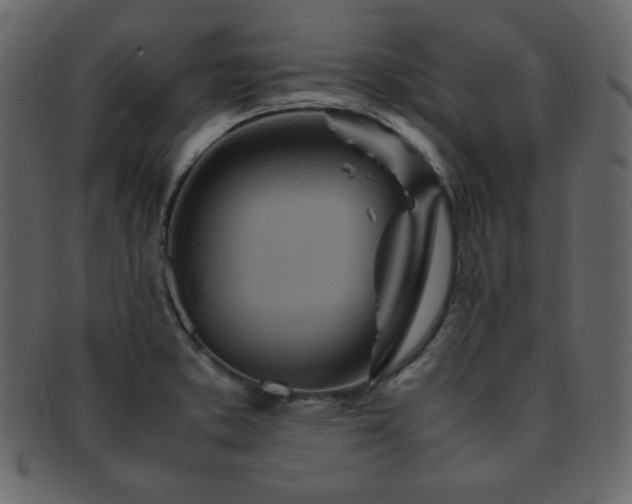 X0000093161373200709261501