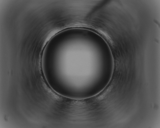 X0000093161374200709261501