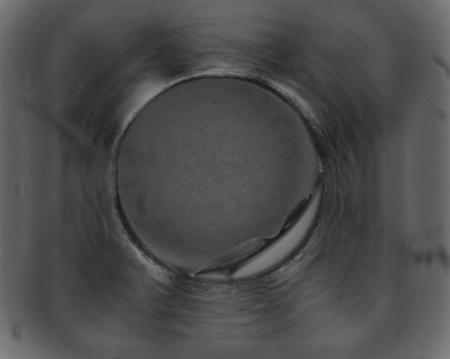 X0000093161375200709261501