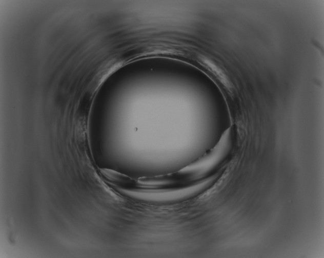 X0000093161377200709261500