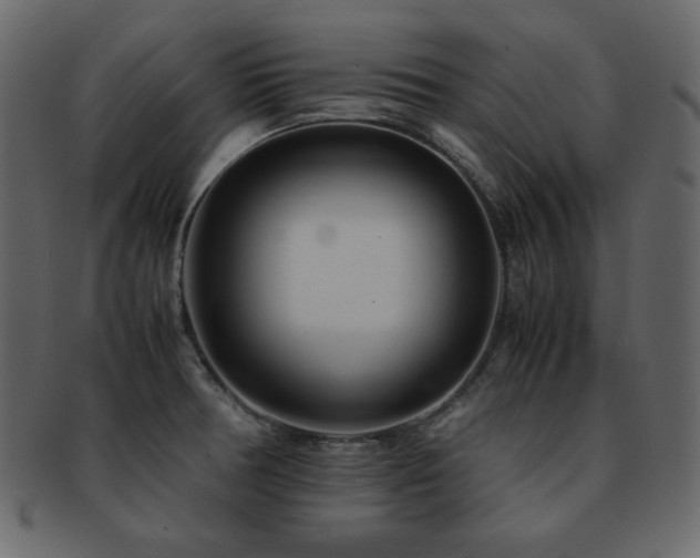 X0000093161378200709261500