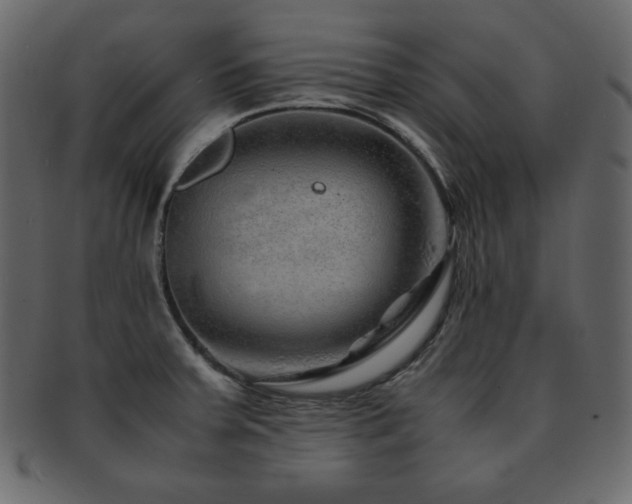 X0000093161379200709261500