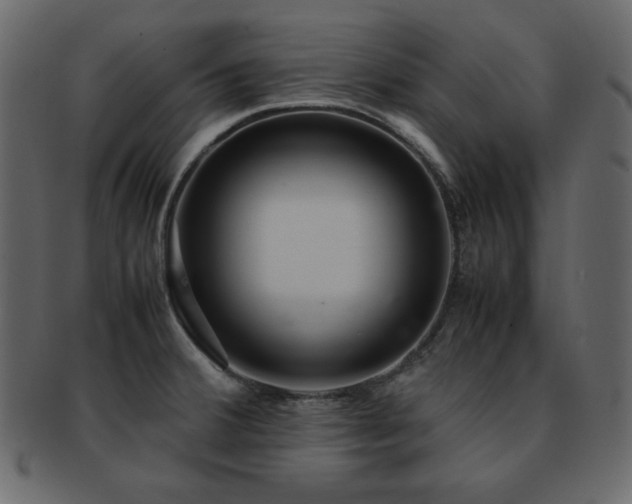 X0000093161380200709261500