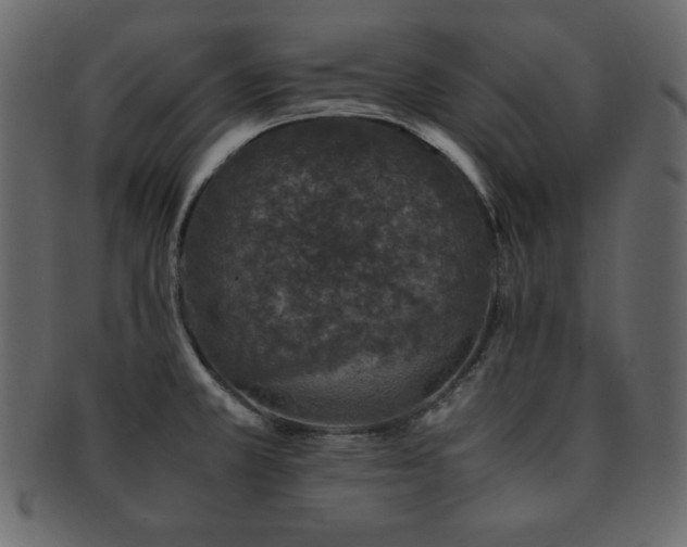 X0000093161381200709261500