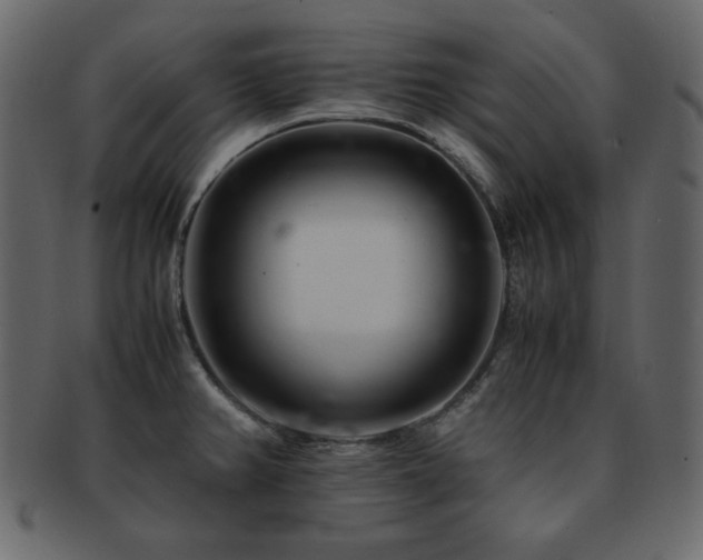 X0000093161382200709261500