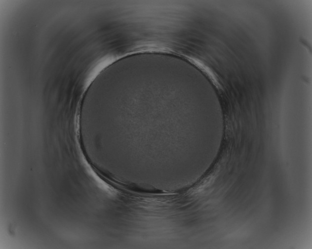 X0000093161383200709261500