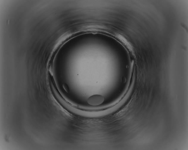 X0000093161384200709261500