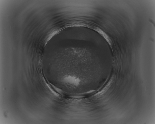 X0000093161385200709261500