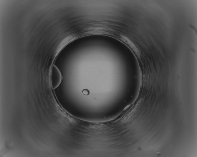 X0000093161386200709261500