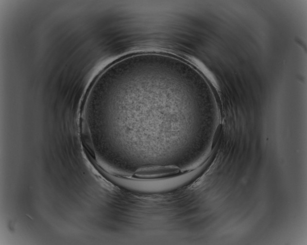 X0000093161388200709261500