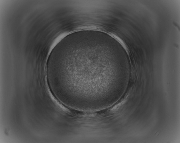 X0000093161389200709261500
