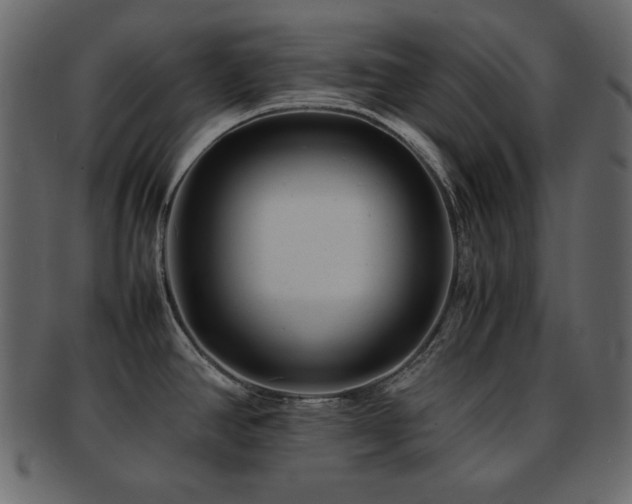 X0000093161390200709261500