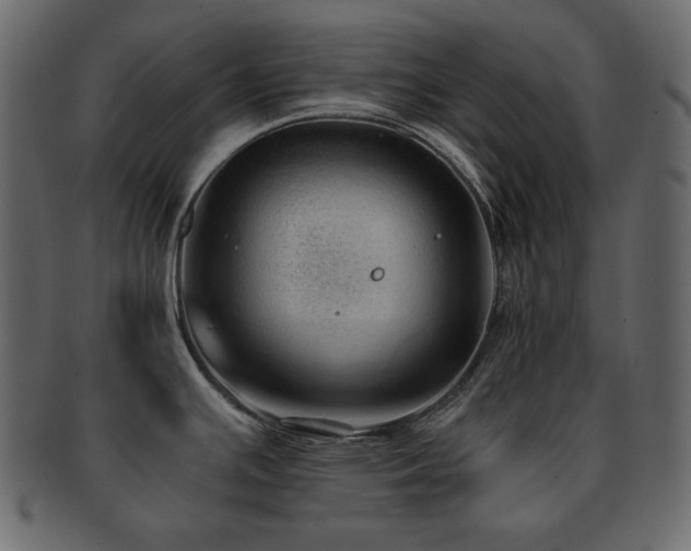 X0000093161391200709261500