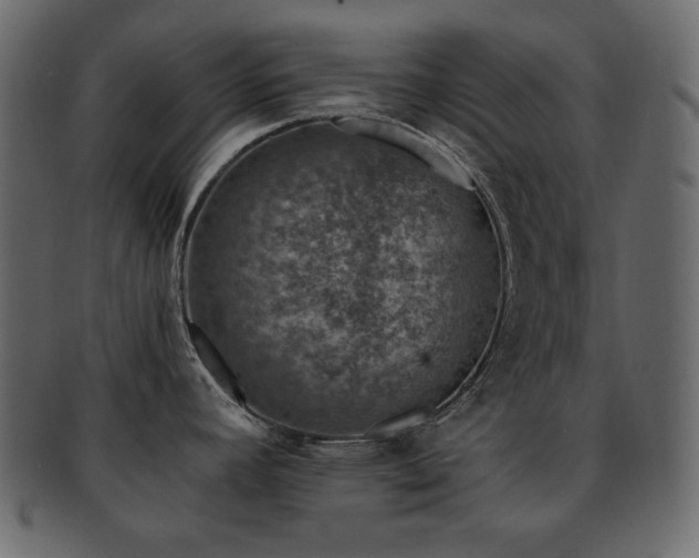 X0000093161392200709261500