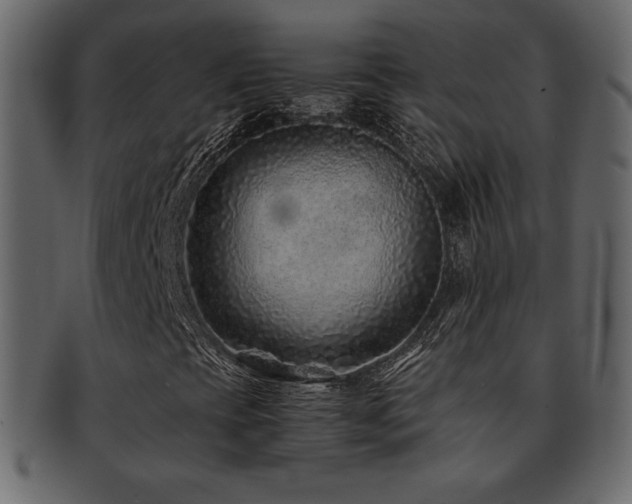 X0000093161393200709261500