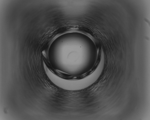 X0000093161394200709261500