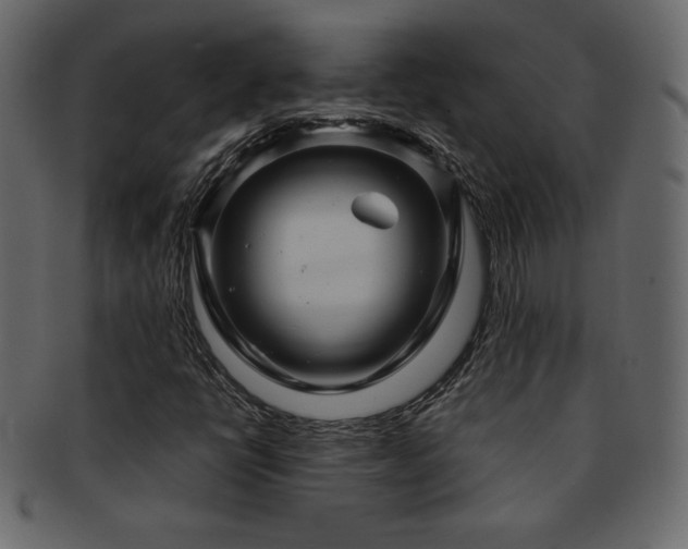 X0000093161398200709261500