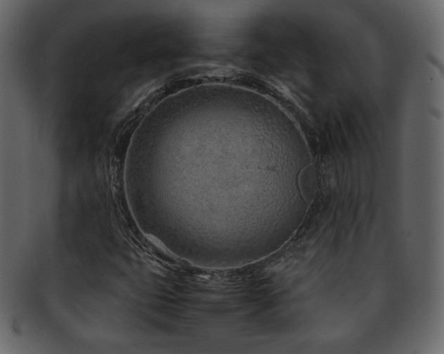 X0000093161399200709261500