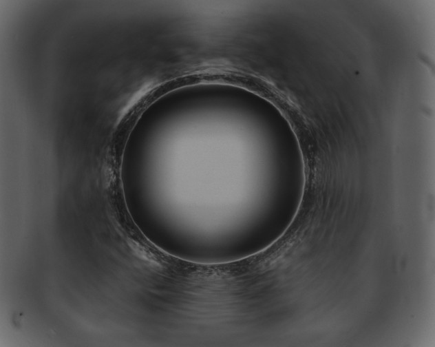 X0000093161400200709261500