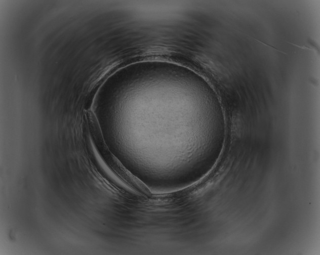 X0000093161401200709261500