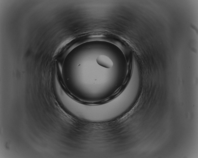 X0000093161402200709261500