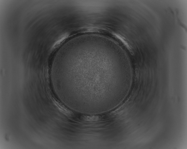 X0000093161403200709261500