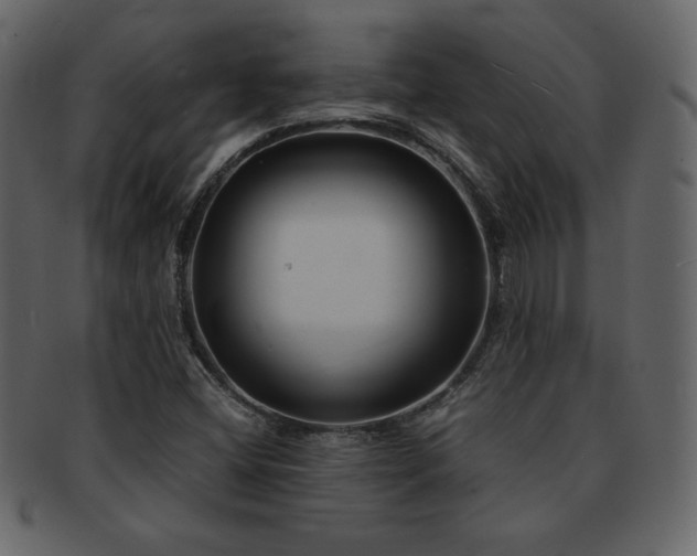 X0000093161404200709261500