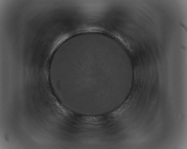 X0000093161405200709261500