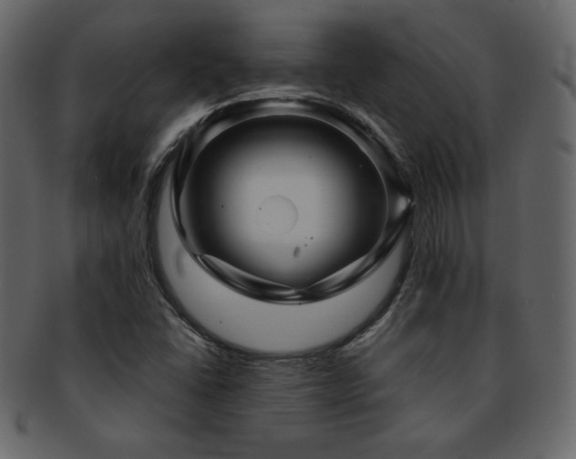 X0000093161406200709261500