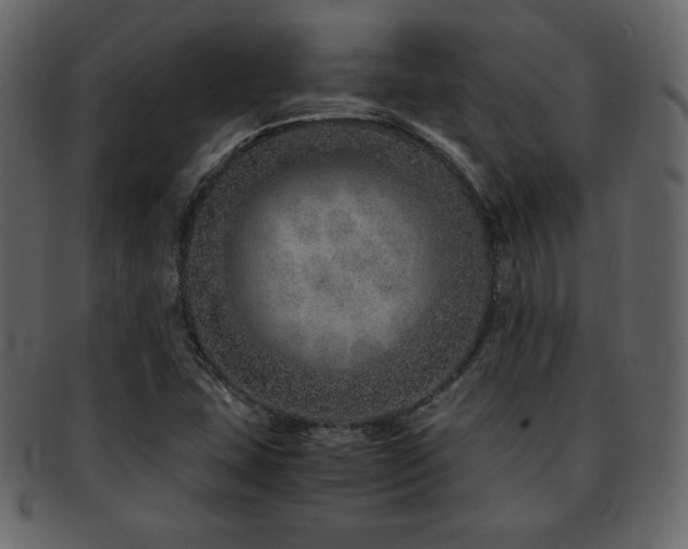 X0000093161407200709261500