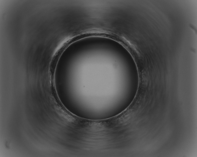 X0000093161408200709261500