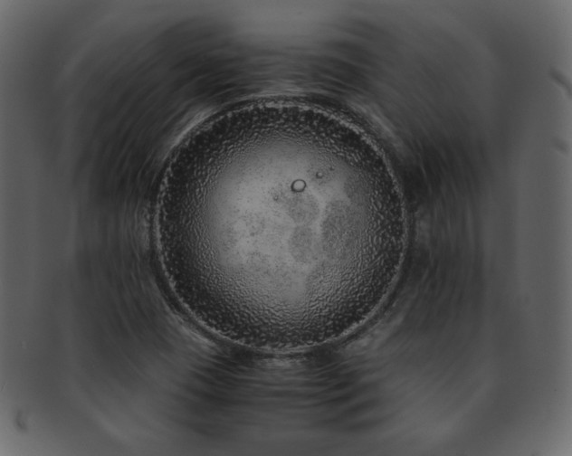 X0000093161409200709261500