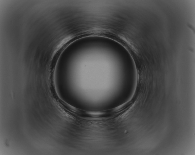 X0000093161410200709261500