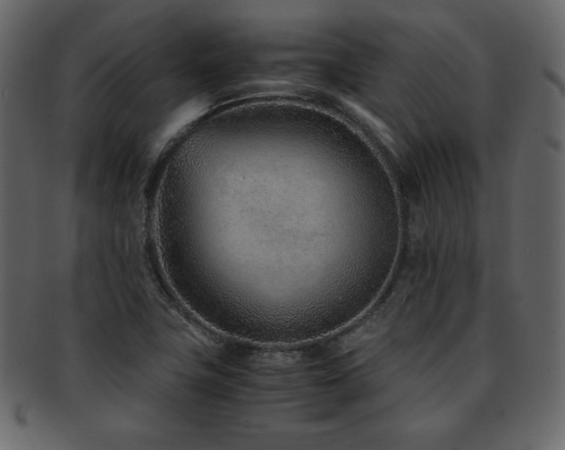 X0000093161411200709261500