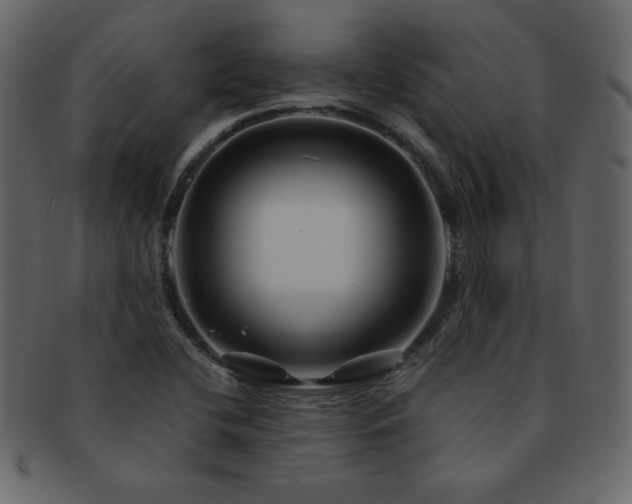 X0000093161412200709261500