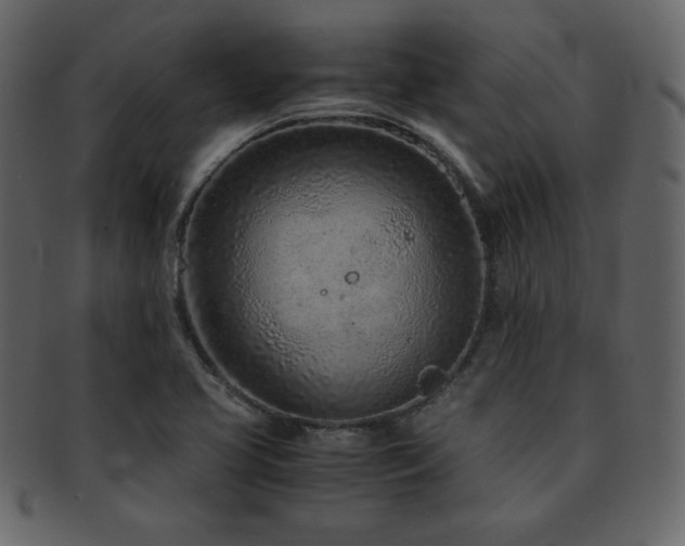 X0000093161413200709261500