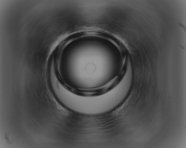 X0000093161414200709261500