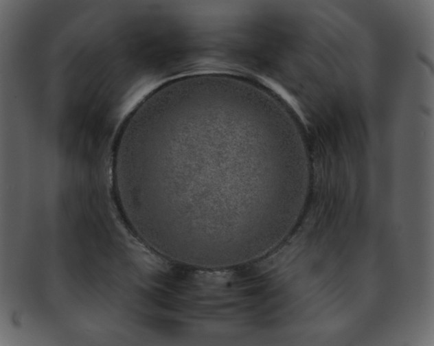 X0000093161415200709261500