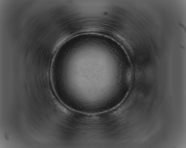 X0000093161417200709261500