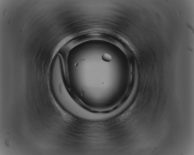 X0000093161418200709261500
