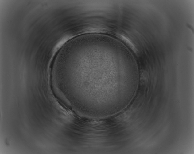 X0000093161419200709261500