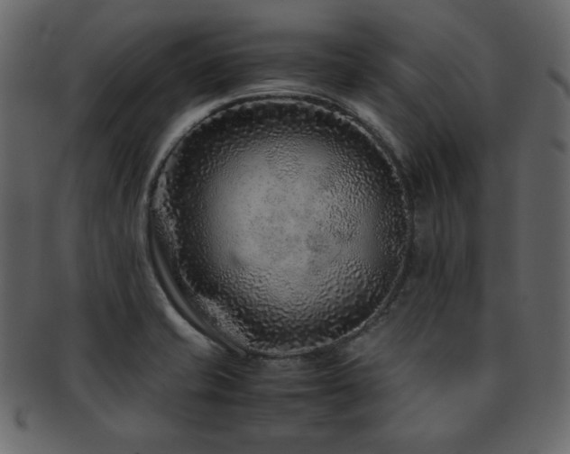 X0000093161421200709261500