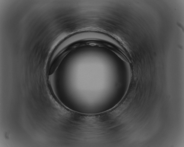 X0000093161422200709261500