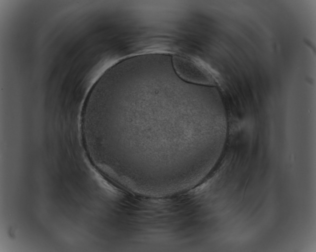 X0000093161423200709261500