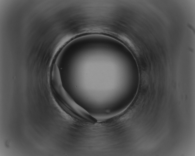X0000093161424200709261500