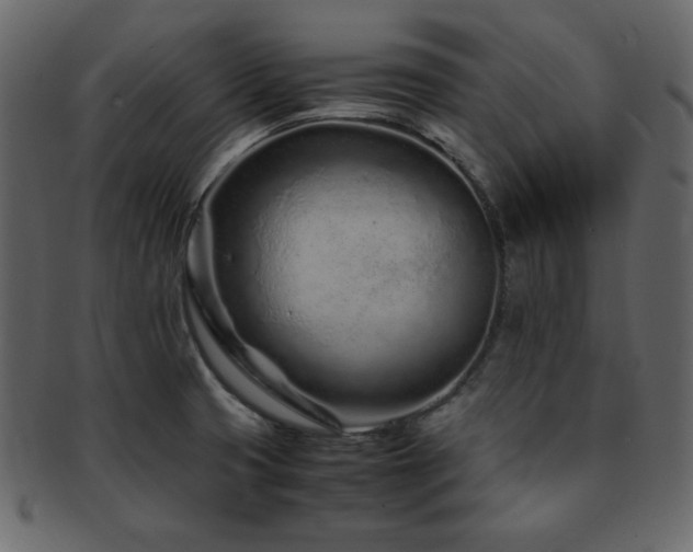 X0000093161425200709261500