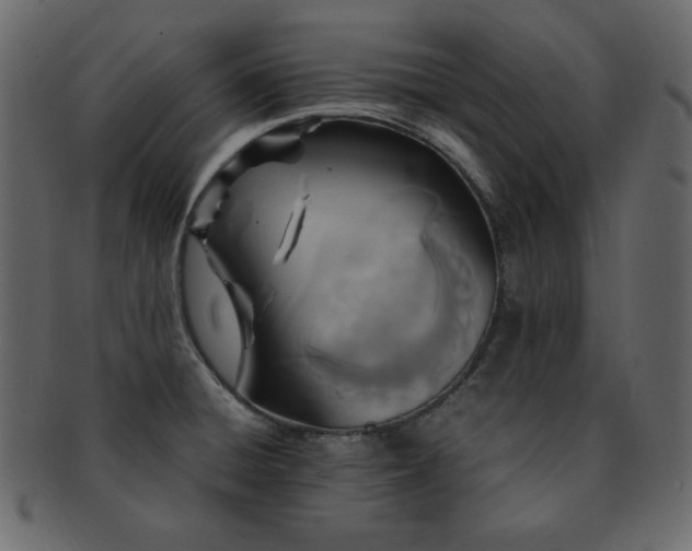 X0000093161428200709261500