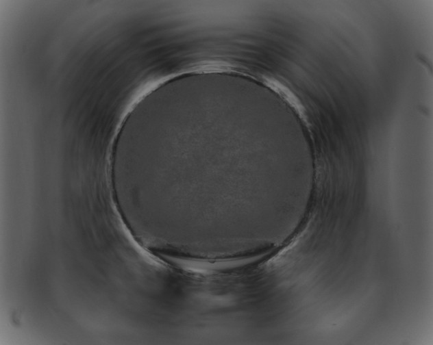 X0000093161429200709261500