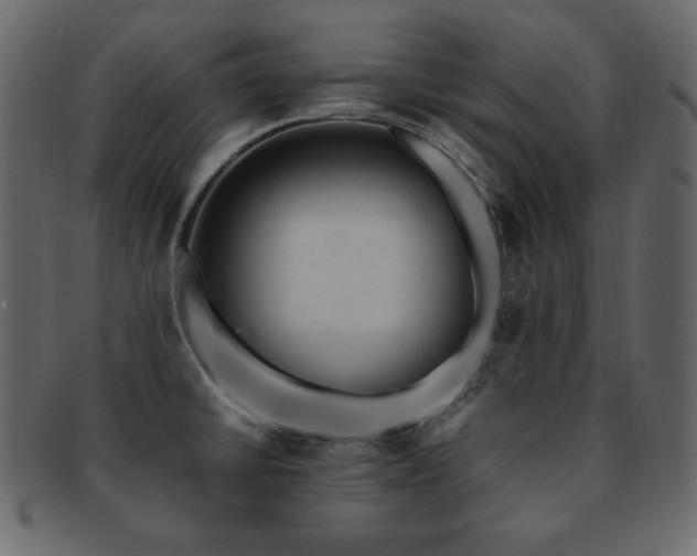 X0000093161430200709261500