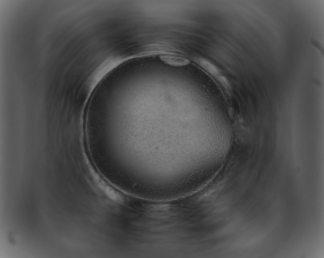 X0000093161431200709261500